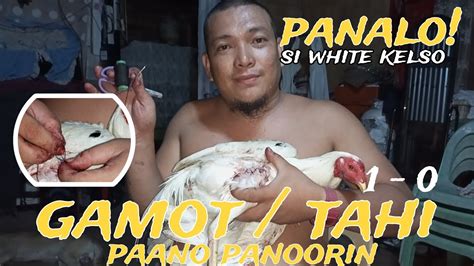 gamot sa sugat ng manok panabong|Gamot/tahi sa sugat ng manok panabong .